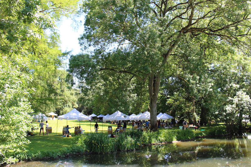 La Levée de la Loire prend l’air… à Savennières